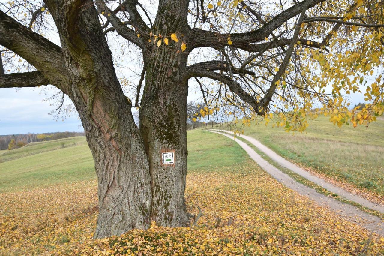 Wigierski Park Narodowy Apartment Suwalki Bagian luar foto