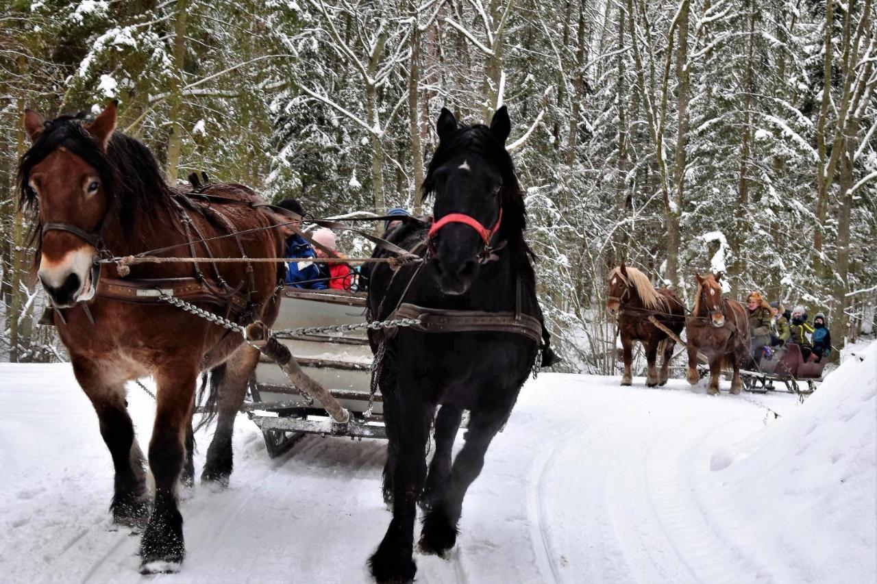 Wigierski Park Narodowy Suwalki Bagian luar foto